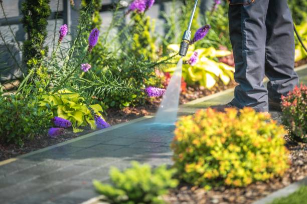 Best Patio and Deck Pressure Washing  in Terrell Hills, TX
